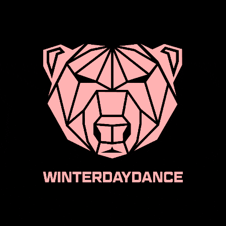 Winterdaydance GIF by AMBU-Tech AG