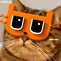 Cat GIF