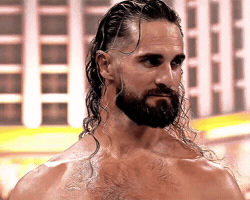 Seth Rollins Wwe GIF