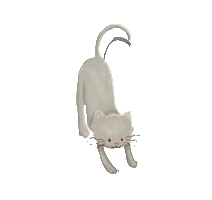 A Vida Cat Sticker