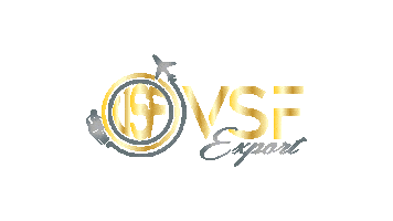 vsfexport Sticker