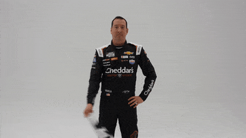 Kyle Busch GIF by Richard Childress Racing