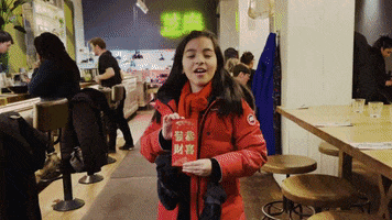China Happy Chinese New Year GIF by Casol