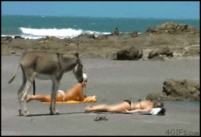 200.gif