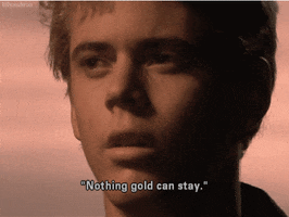 the outsiders GIF