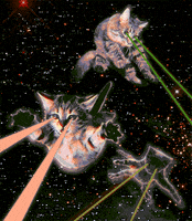 space cat animation GIF by Atinum