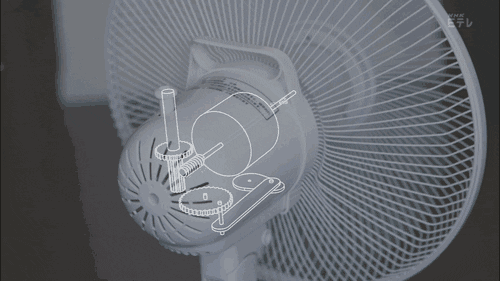 fan