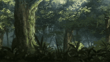 Coco GIF