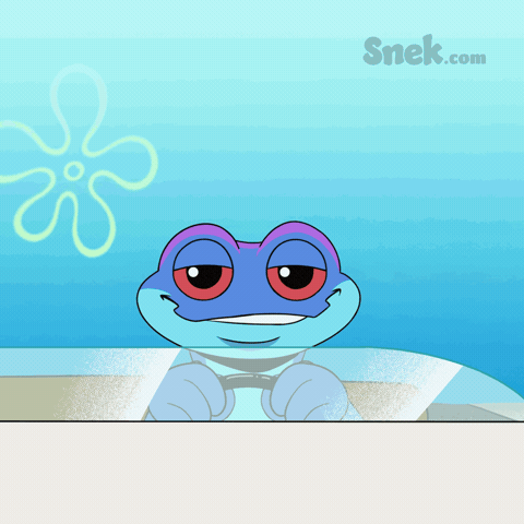Sunglasses Yolo GIF by Snek
