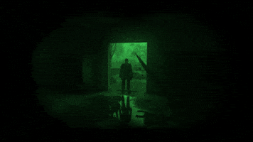 Stalker GIF by GSC Game World