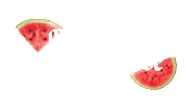 Text Watermelon Sticker by Mela Water