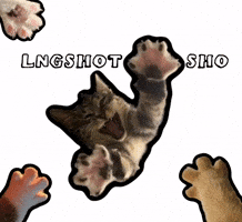 Lngshot GIF