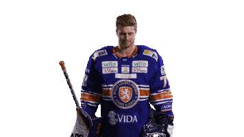 Hockey Point Sticker by Växjö Lakers