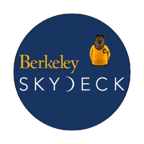 Berkeley SkyDeck Sticker