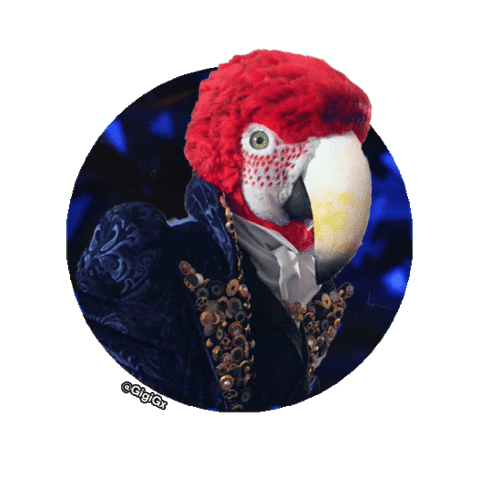 Il Cantante Mascherato Sticker