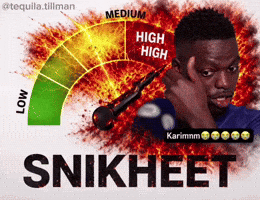 Nicolas Snik GIF