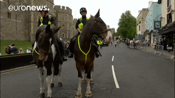police horses GIF by euronews