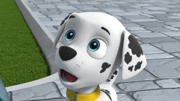 Paw Patrol Love GIF by Spin Master