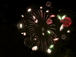 fireworks love GIF