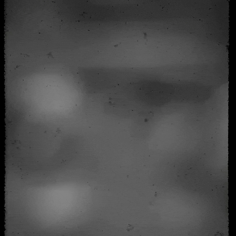 Halloween Haunting GIF by PBS Digital Studios