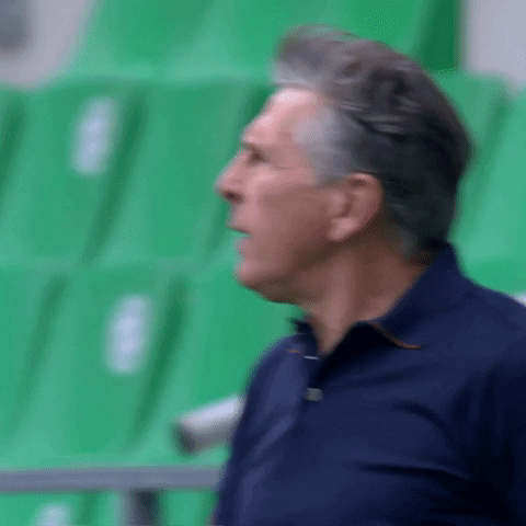 Football Rage GIF by AS Saint-Étienne