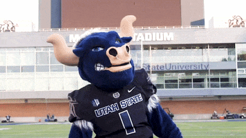Yelling Lets Go GIF by Utah State University