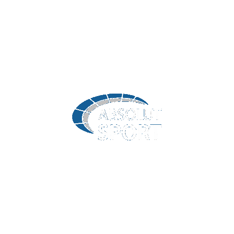 Libertadores Asb Sticker by ABSOLUT Sport Brasil