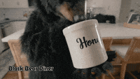 Weekend Bear GIF by BlackBearDiner - Find & Share on GIPHY