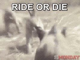 Ride Or Die Monkey GIF by FirstAndMonday