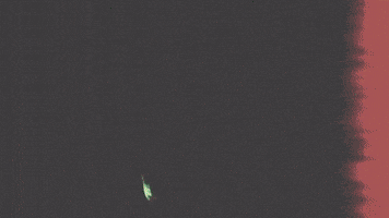 Car Driving GIF by Babyfxce E