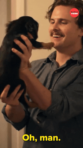 We Did It Puppy GIF by BuzzFeed