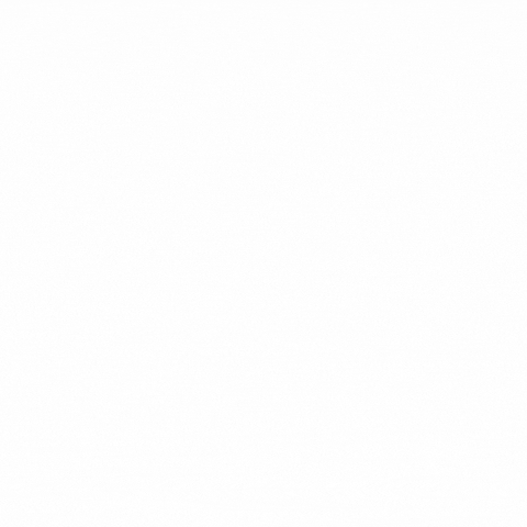 wnorth GIF