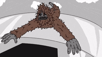 Sassy Fly GIF