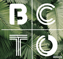 The Toronto Barre Collective GIF