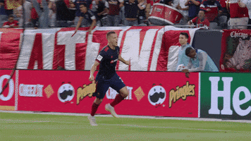 Vamos Come On GIF by Chicago Fire Football Club