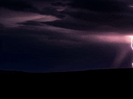 200.gif?cid=fc005b08339141fb59d2c5435666f8cdb7cb9cc6f7f212b3&rid=200.gif&ct=g