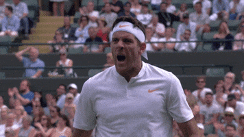 Excited Del Potro GIF by Wimbledon