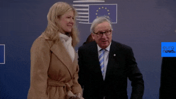 european union GIF by euronews