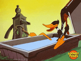 Getting Ready Daffy Duck GIF by Looney Tunes