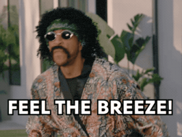 Breeze Ludacris GIF by One A Day