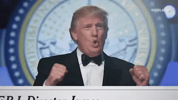 donald trump GIF by THE HUNT FOR THE TRUMP TAPES