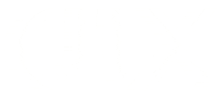 dixfm music radio fm dix Sticker