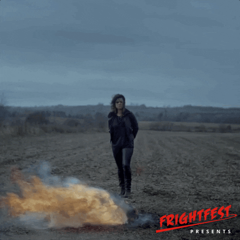 bonfire night burn GIF by Signaturee Entertainment