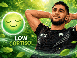 Fares GIF