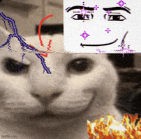Smirk Cat GIF