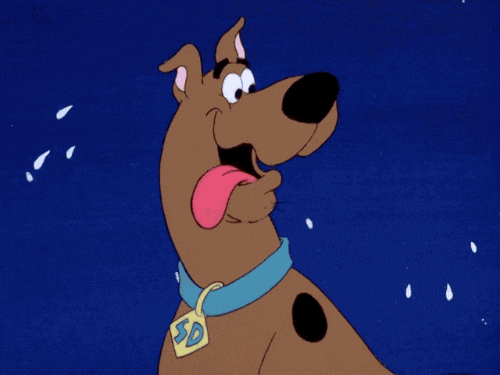 [Image: giphy.gif?cid=790b7611a3f3f777958332cf18...y.gif&ct=g]