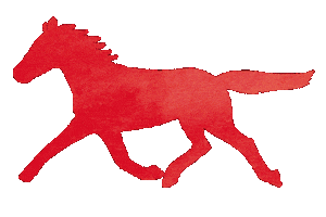 Chinese New Year Good Luck Sticker by eva pils