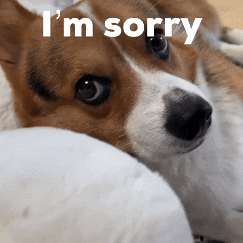 Dog Im Sorry GIF