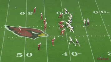 New England Patriots GIF