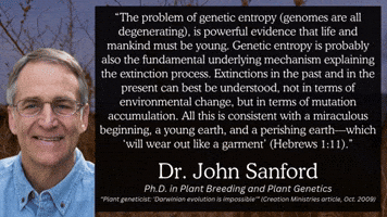 Theory Of Evolution Christian GIF
